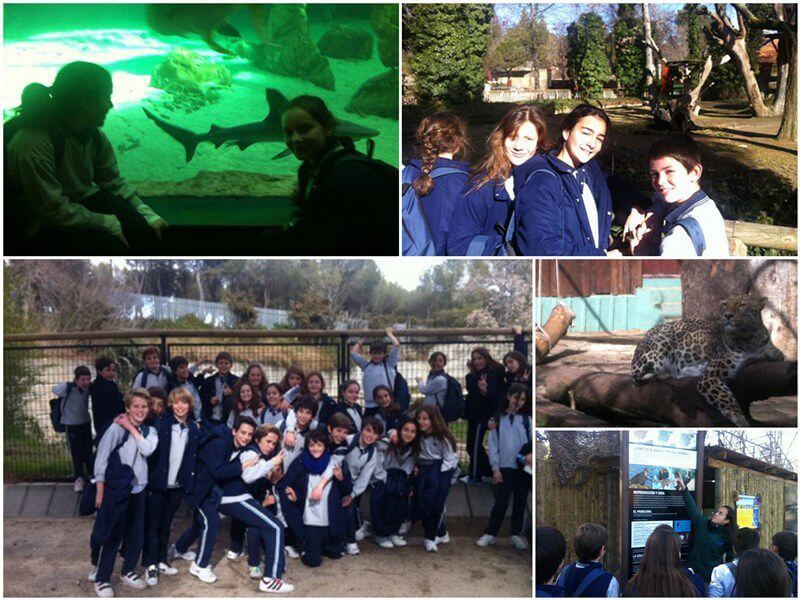 Visita al Zoo de Madrid