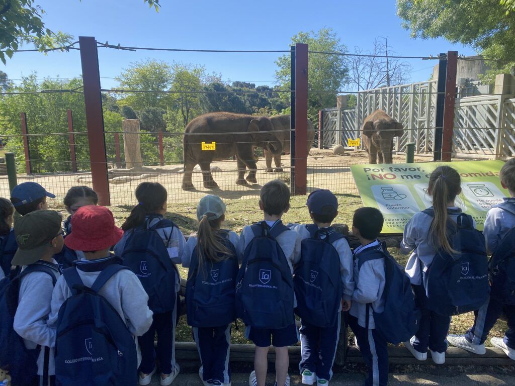 In I5 we go to the Zoo to support our Unit of Inquiry on nature and animals